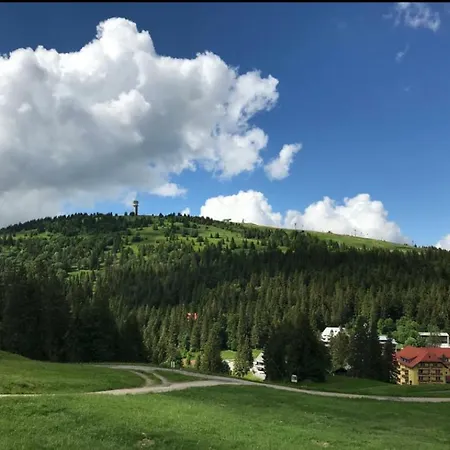 Ferienwohnung Feldberg Mit Whirlpool Direkt An Der Skipiste 아파트 펠트베르크